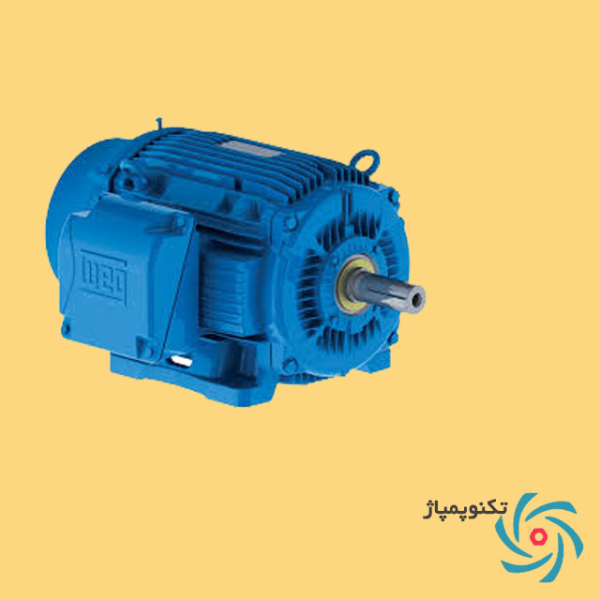 الکتروموتور WEG چدنی
