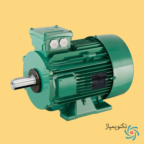 الکتروموتور Leroy Sorem